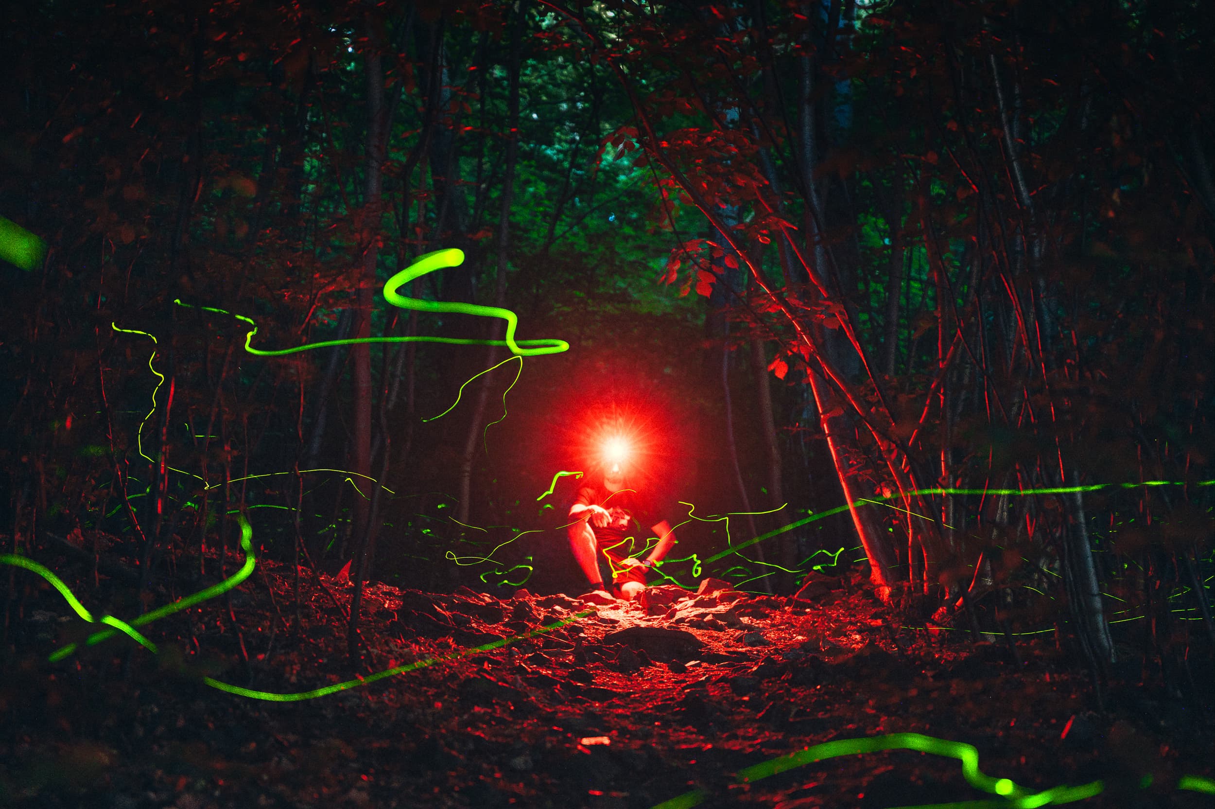 Bartosz Fink - self portrait among fireflies
